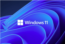 windows11 关闭推荐的项目